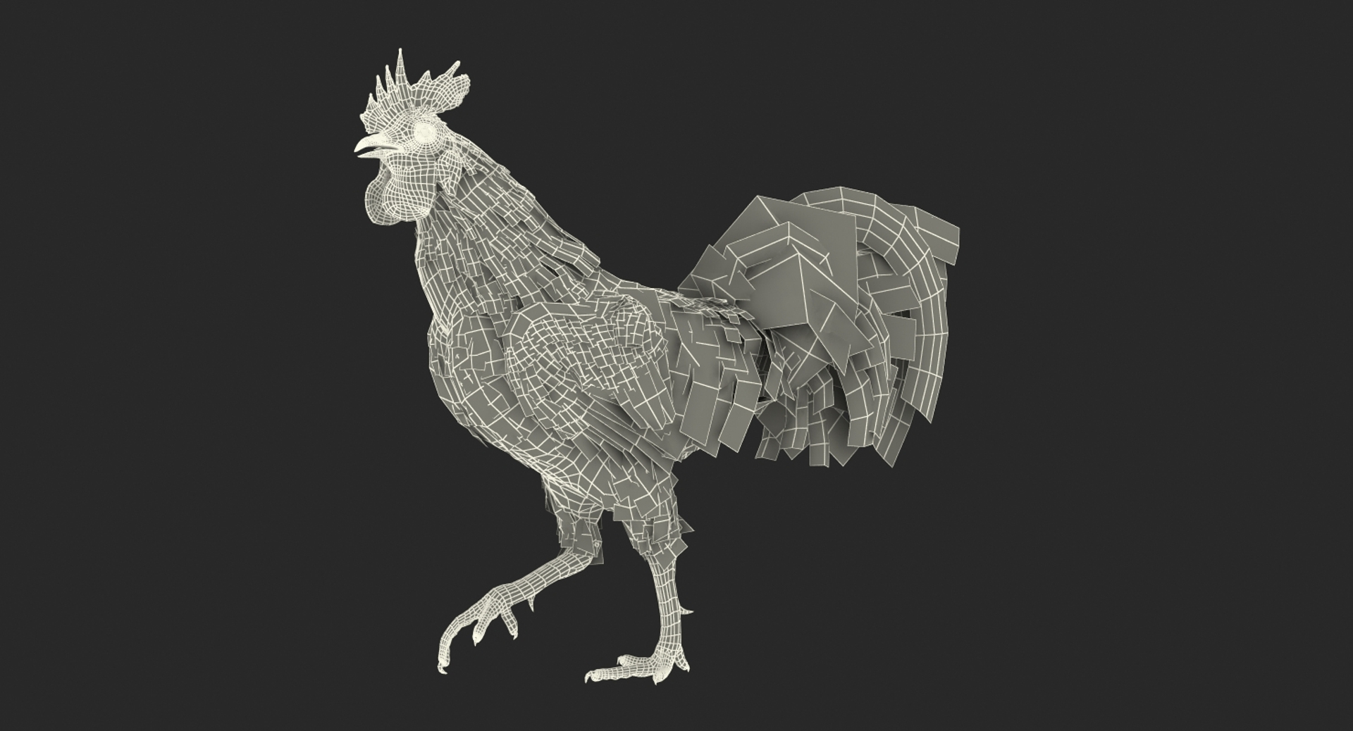 rooster walking 3d max https://p.turbosquid.com/ts-thumb/Di/hHh9U2/SHLOxgrv/rooster_walking_361/jpg/1479536770/1920x1080/turn_fit_q99/330c1692696fa2dbe69247086678c8c2e0111165/rooster_walking_361-1.jpg