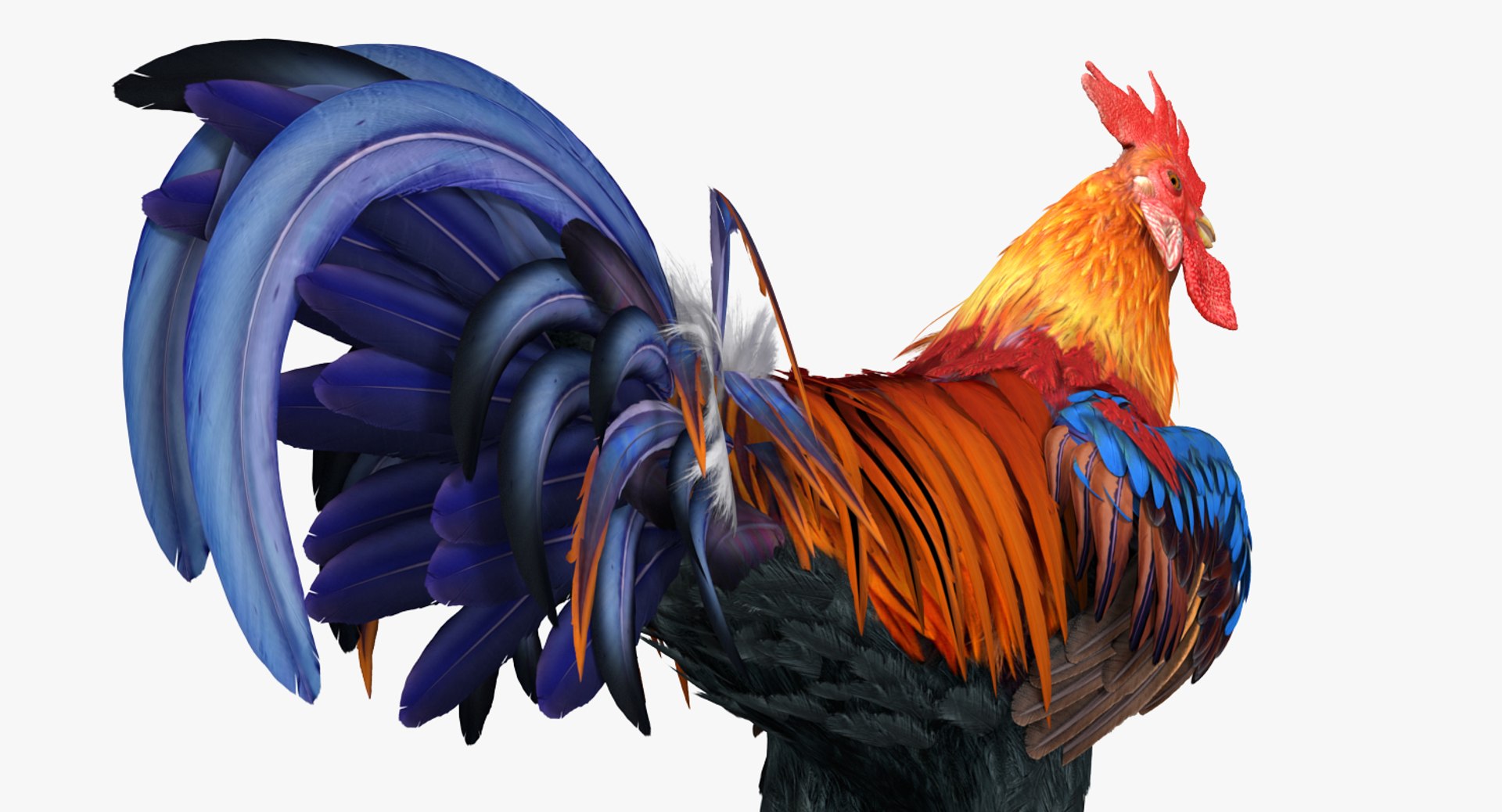rooster walking 3d max https://p.turbosquid.com/ts-thumb/Di/hHh9U2/lXBff2cG/roosterwalking3dsmodel004/jpg/1479536577/1920x1080/fit_q87/133415e839e608e6d41557acdd3ce32ca1993823/roosterwalking3dsmodel004.jpg