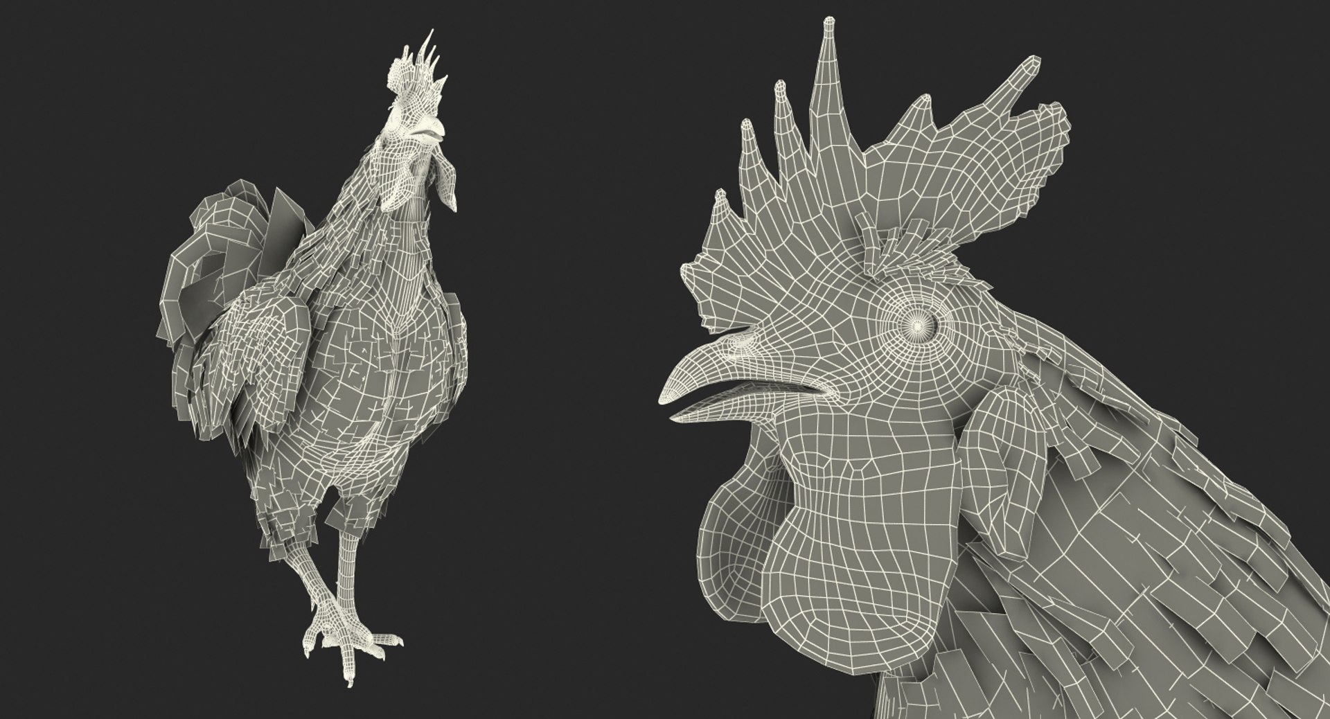 rooster walking 3d max https://p.turbosquid.com/ts-thumb/Di/hHh9U2/xhivDJAJ/roosterwalking3dsmodel017/jpg/1479536577/1920x1080/fit_q87/c6c51dcf618986c65567aae3efa9c8f82c188f71/roosterwalking3dsmodel017.jpg