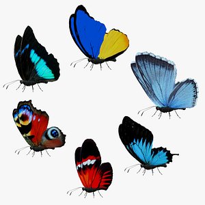3D Butterfly Collection Pack 13-18 model