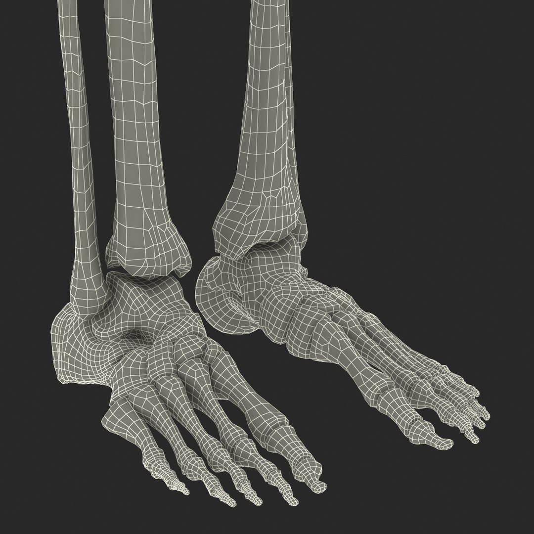 3d model human male skeleton rigged https://p.turbosquid.com/ts-thumb/Di/r1J2L2/BmomtEVA/humanmaleskeletonriggedcinemac4d3dmodel74/jpg/1481745418/1920x1080/fit_q87/b61ab0dc702c12297bb3b4ae1af2737515f662a5/humanmaleskeletonriggedcinemac4d3dmodel74.jpg