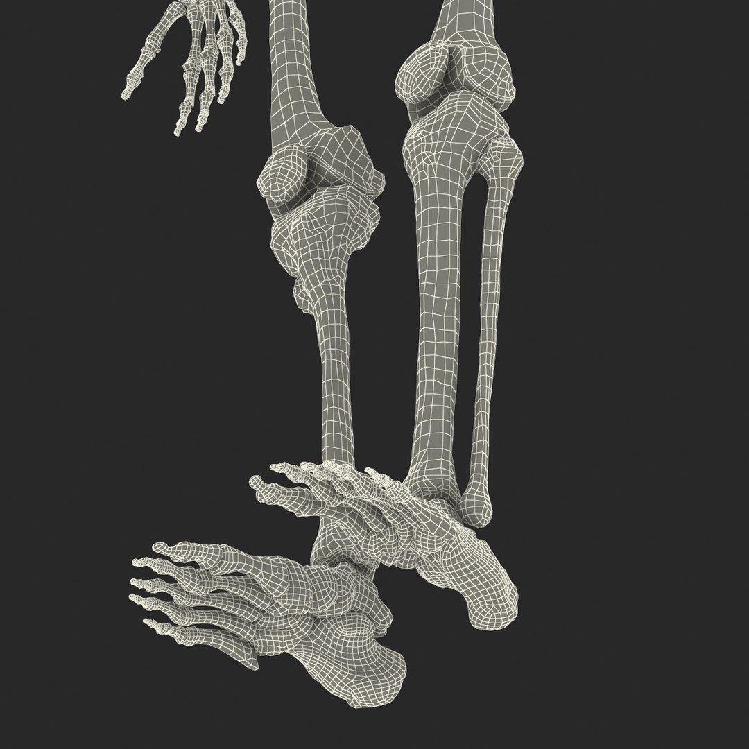 3d model human male skeleton rigged https://p.turbosquid.com/ts-thumb/Di/r1J2L2/HxuqGTbH/humanmaleskeletonriggedcinemac4d3dmodel73/jpg/1481745418/1920x1080/fit_q87/ea0559d8918aa15f0f41706ee2fd989b34b2048e/humanmaleskeletonriggedcinemac4d3dmodel73.jpg