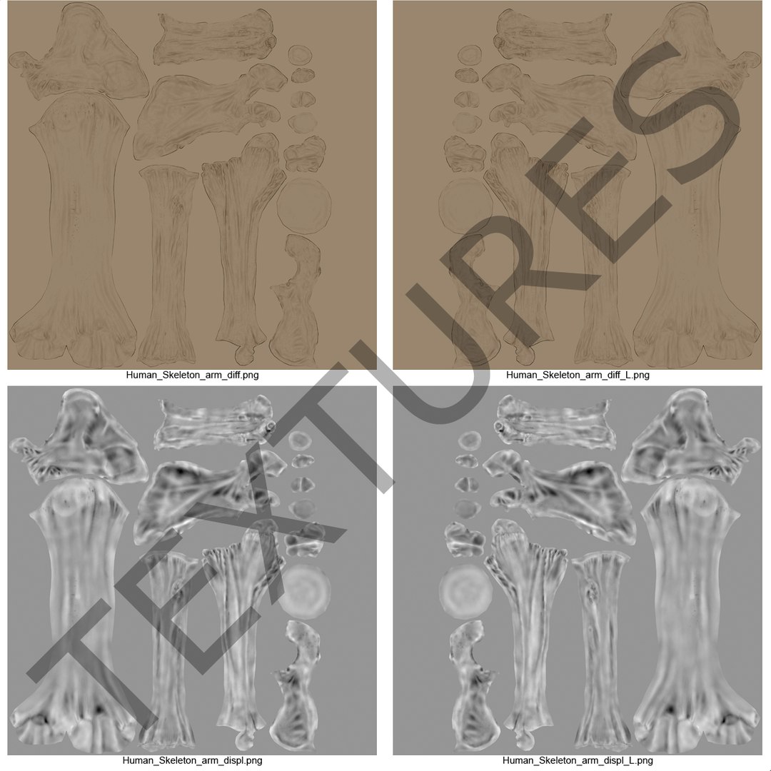 3d model human male skeleton rigged https://p.turbosquid.com/ts-thumb/Di/r1J2L2/gIJ7AEtB/humanmaleskeletonriggedcinemac4d3dmodel56/jpg/1481745418/1920x1080/fit_q87/4bfd831013247eab972ad2d726a3215e32930ad1/humanmaleskeletonriggedcinemac4d3dmodel56.jpg