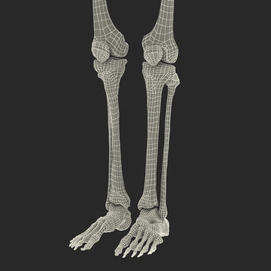 3d model human male skeleton rigged https://p.turbosquid.com/ts-thumb/Di/r1J2L2/vFoI1Dp5/humanmaleskeletonriggedcinemac4d3dmodel72/jpg/1481745418/1920x1080/fit_q87/ea73545e8b1d3f5e7c11e120cf207f69baa61c85/humanmaleskeletonriggedcinemac4d3dmodel72.jpg