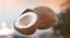 coconuts polys 3d model