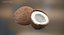 coconuts polys 3d model