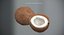 coconuts polys 3d model