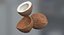 coconuts polys 3d model