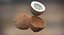 coconuts polys 3d model