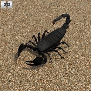 3D model emperor scorpion scorpio
