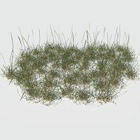Perennial Ryegrass Pack