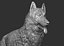 german shepherd realistic model