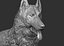 german shepherd realistic model