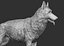 german shepherd realistic model
