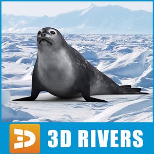 maya weddell seal