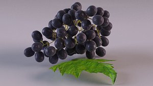 3D grapes leaf purple model