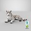 lying white tiger 3D model