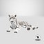 lying white tiger 3D model
