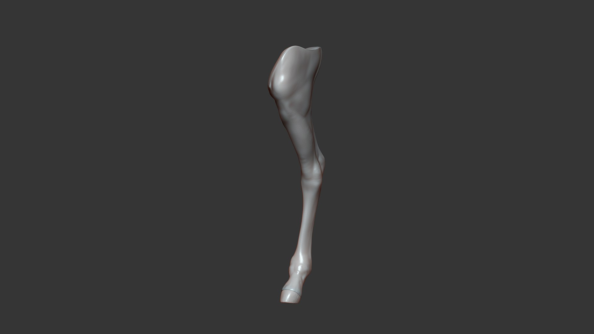 Horse Foal Rear Leg Highpoly Sculpt 3D - TurboSquid 1810324
