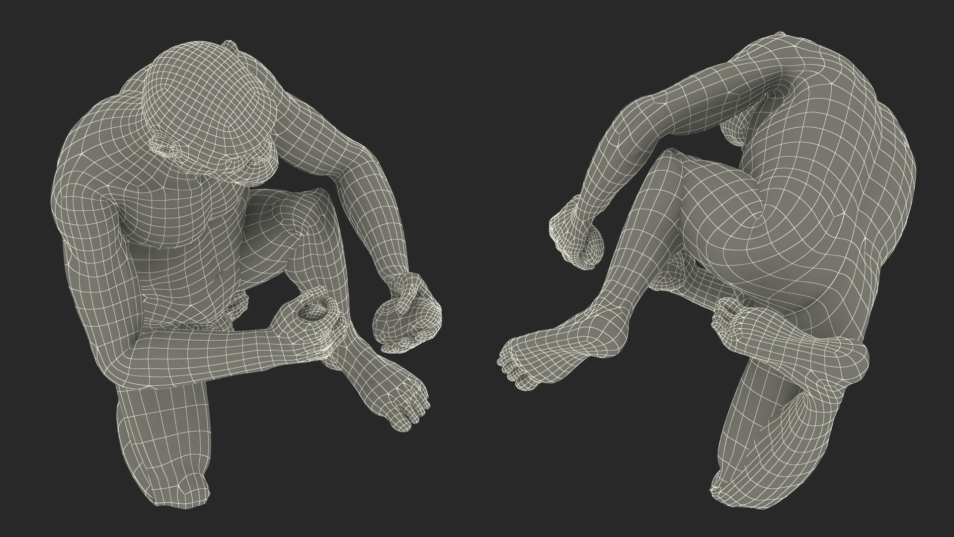 3D Model Homo Habilis In A Sitting Pose Fur - TurboSquid 2174893
