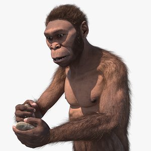 Homo Habilis in a Sitting Pose Fur