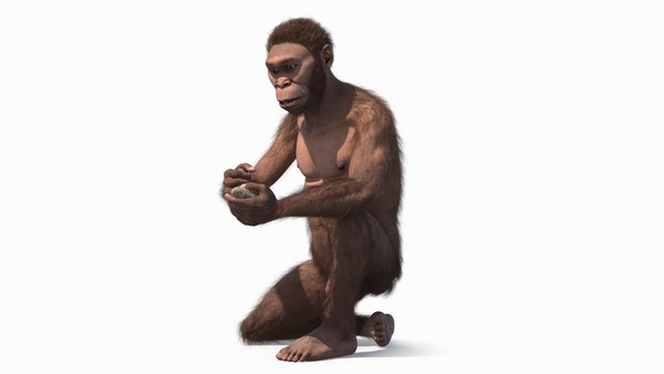 modelo 3d Homo Habilis en pose sentada - TurboSquid 2174893