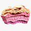 Epidermis Cross Section Anatomy