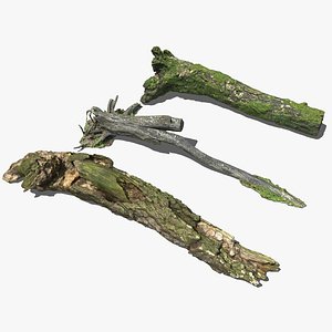 Tree Stump Collection 3D model