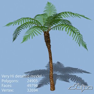 australian tree fern 3d model
