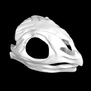 3D Tortoise skull