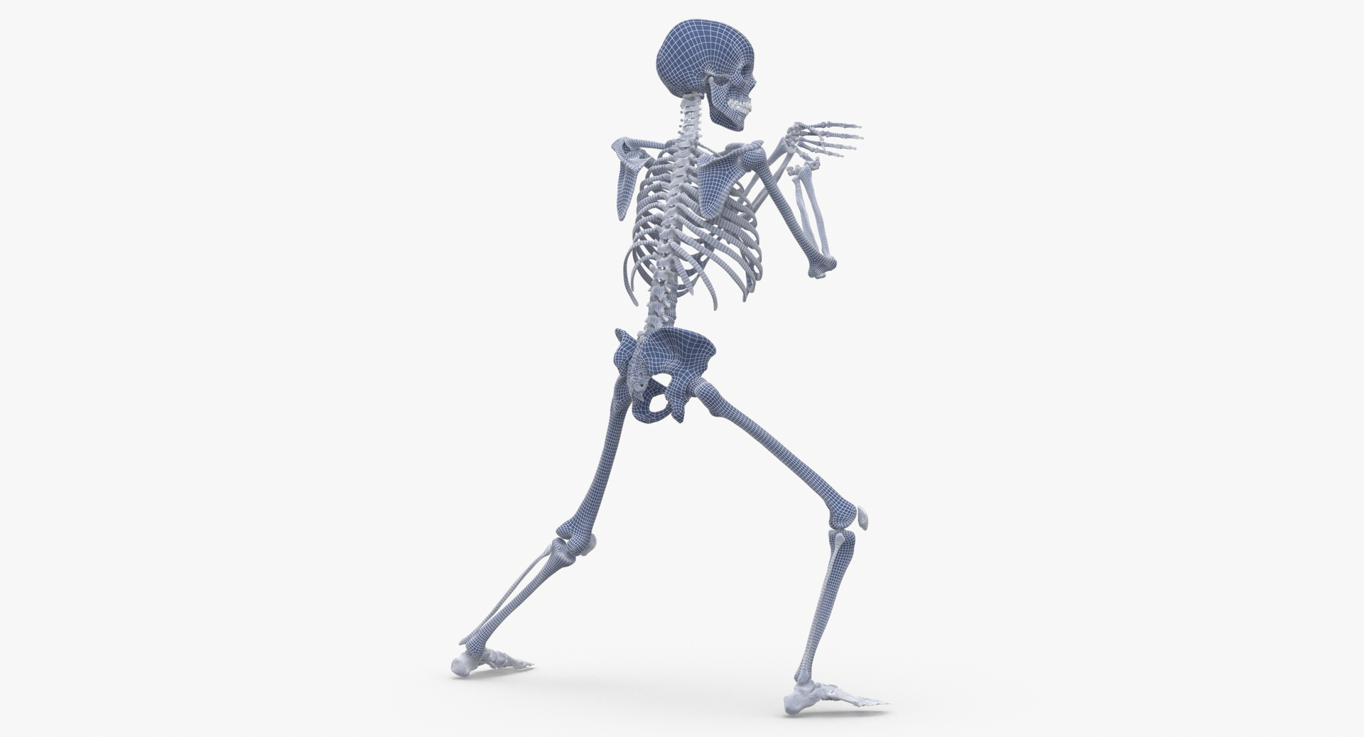 醫用人體骨骼模型人體脊椎骨架醫用脊柱標本小人全身骨模型85釐米-Taobao
