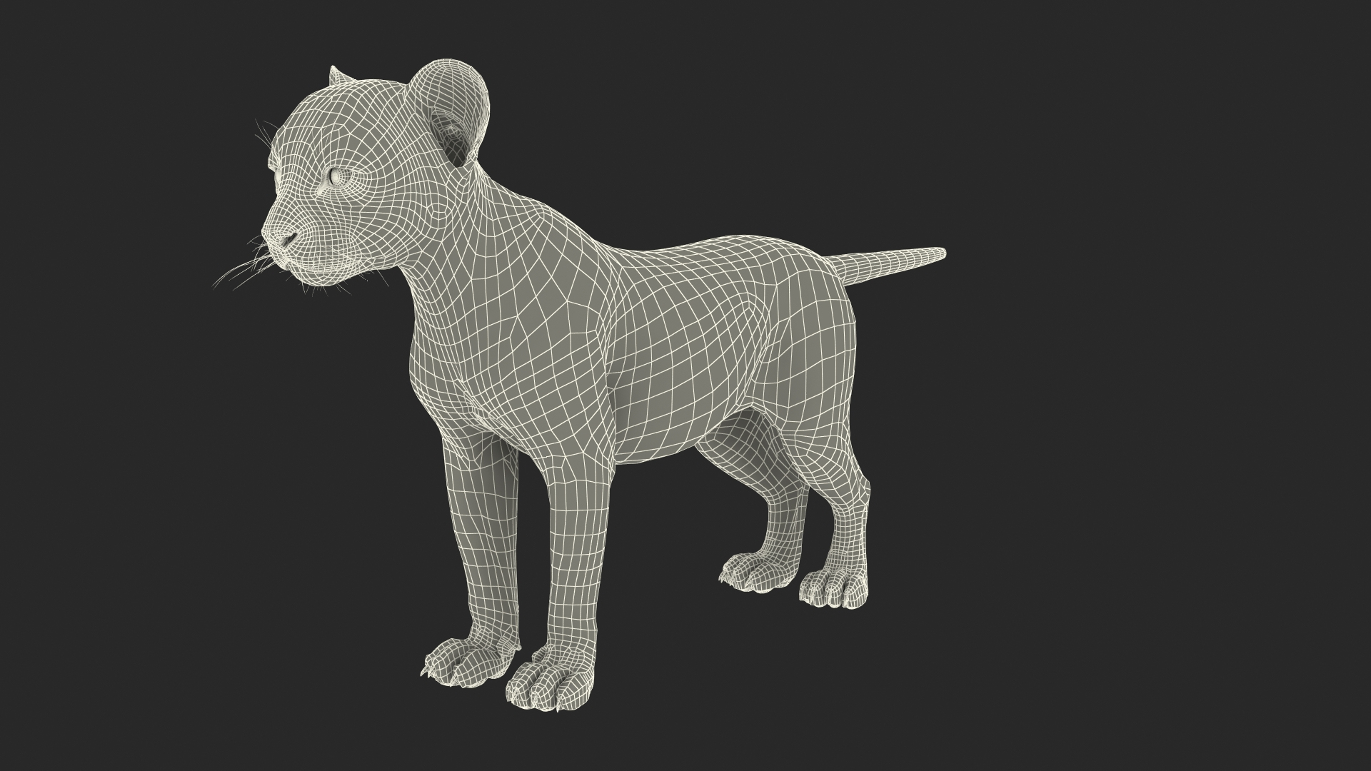 Cheetah Cub Rigged for Maya 3D model https://p.turbosquid.com/ts-thumb/Dk/FfBxcW/qR/cheetah_cub_rigged_361/jpg/1742605194/1920x1080/turn_fit_q99/7de6e41fad9f095a90b7d2f958815048fe916fbd/cheetah_cub_rigged_361-1.jpg