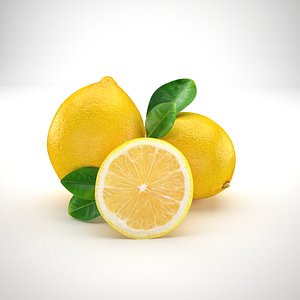 lemon fruit 3D