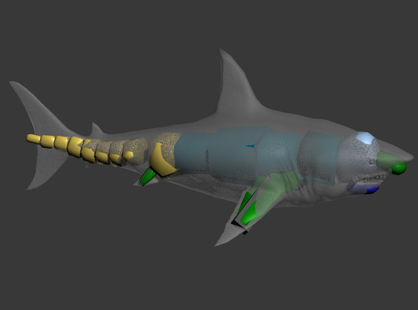 Animal Shark 3D Model - TurboSquid 1685570