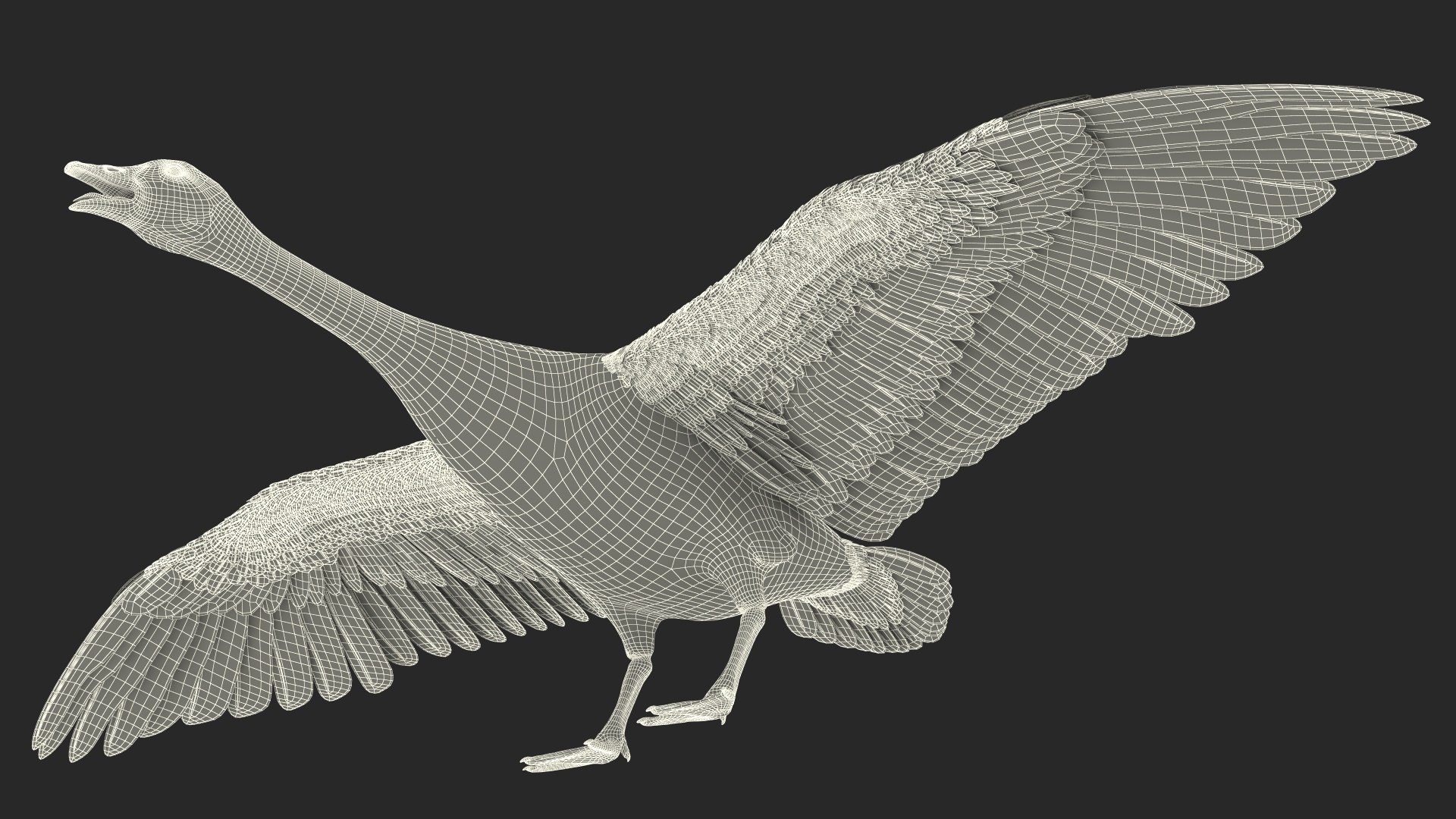 Wild Goose 3D Model - TurboSquid 2112903