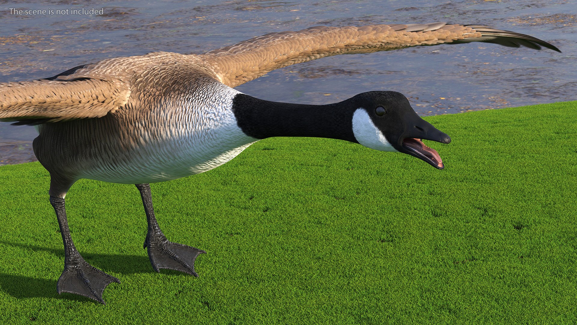 Wild Goose 3D Model - TurboSquid 2112903