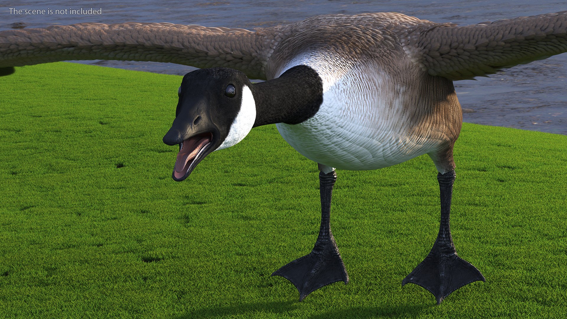 Wild Goose 3D Model - TurboSquid 2112903