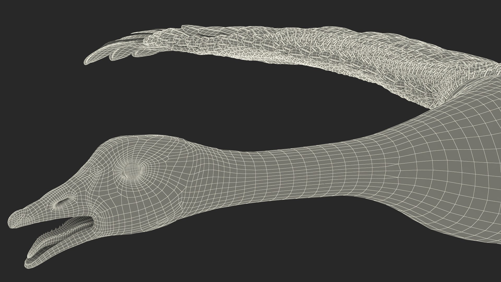Wild Goose 3D Model - TurboSquid 2112903