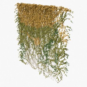 ivy pbr branches 3D