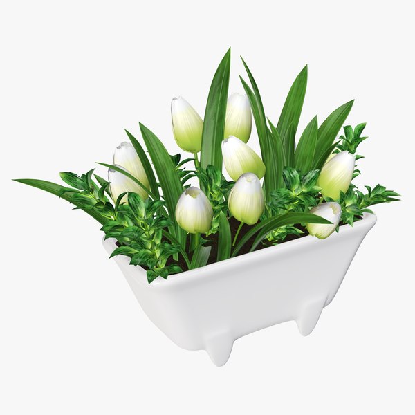 tulip bathtub 3D