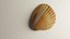 3D-Scanned Seashells - Set of 12 3D model