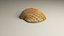 3D-Scanned Seashells - Set of 12 3D model