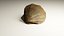 3D-Scanned Seashells - Set of 12 3D model