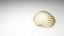 3D-Scanned Seashells - Set of 12 3D model