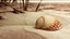 3D-Scanned Seashells - Set of 12 3D model