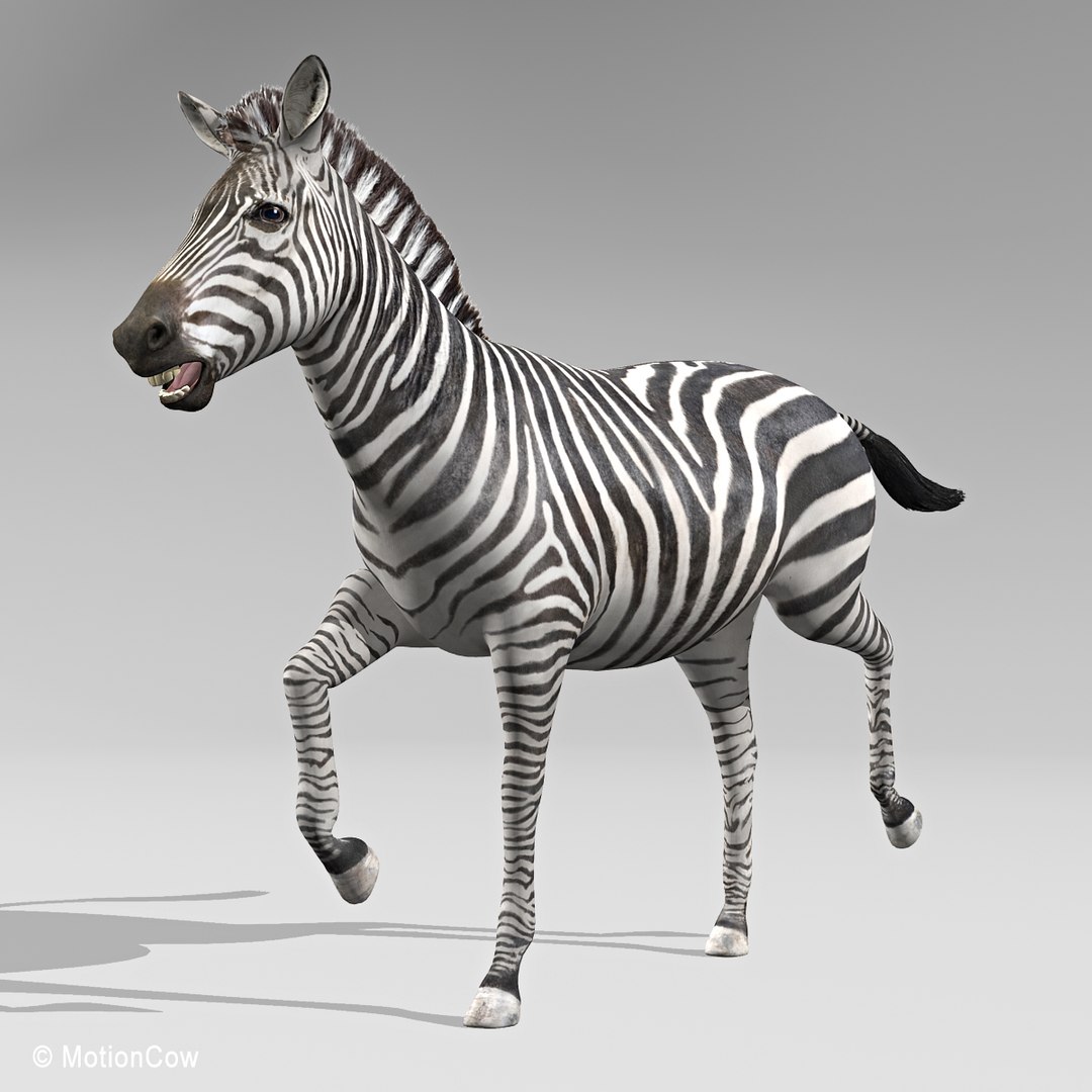 3d Model Rigged Animation