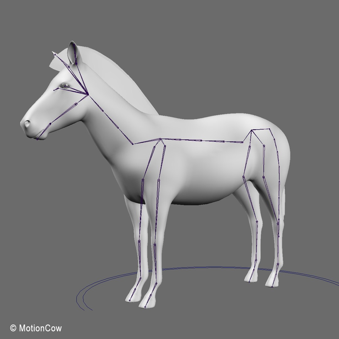 3d Model Rigged Animation
