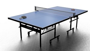 Professional Table Tennis model