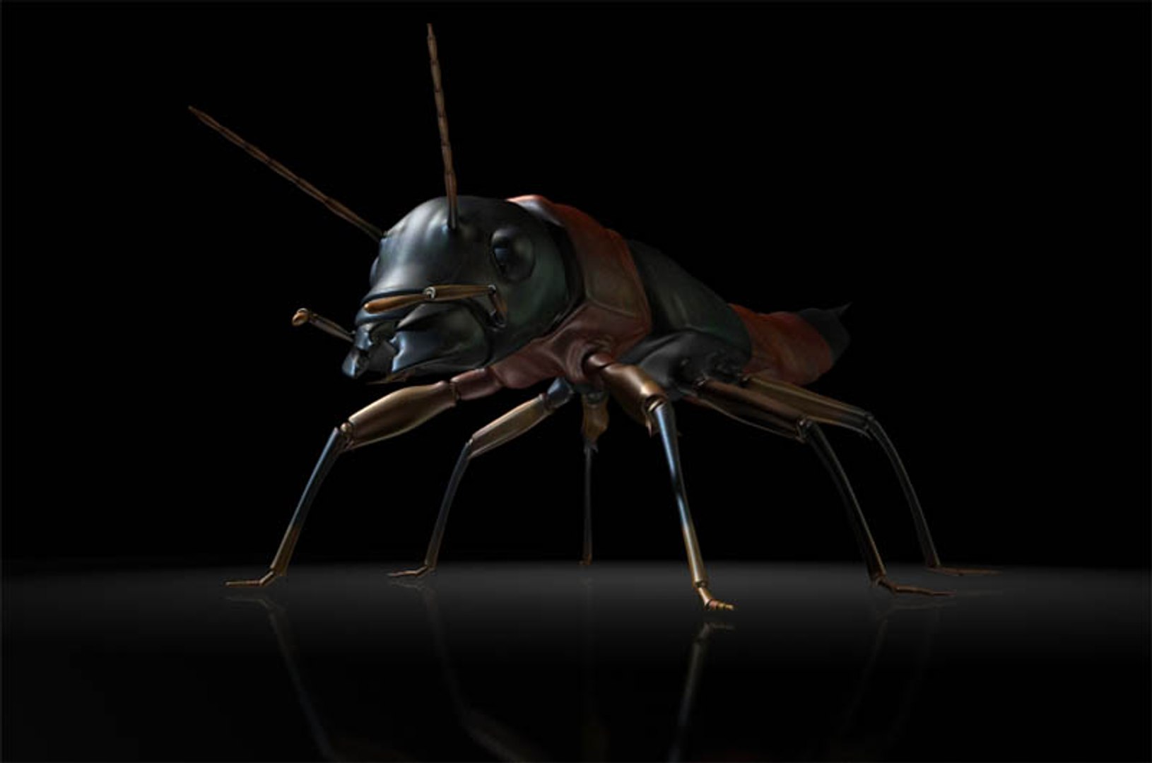 Rove Beetle Staphylinidae Model - TurboSquid 1327075