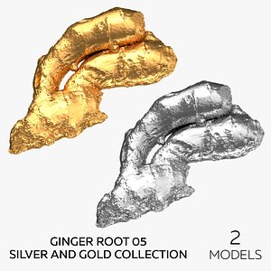 Ginger Root 05 Silver and Gold Collection - 2 models 3D model